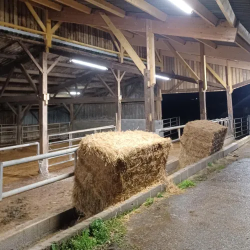 pose moteur pour portail louvigne du desert